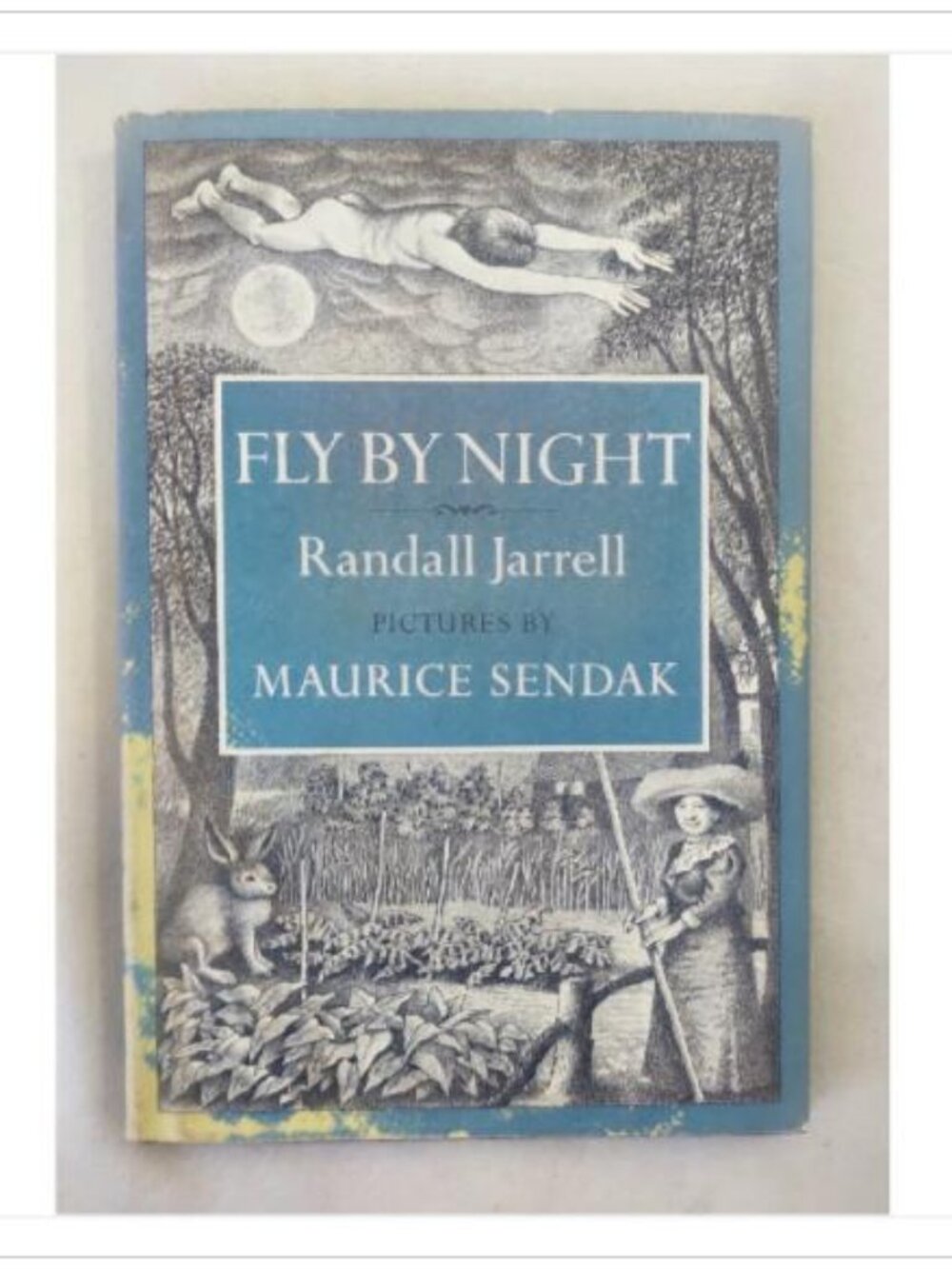 Fly By Night Childrens Illustrated Fantasy Fiction Book by Maurice 1st 1976 HC